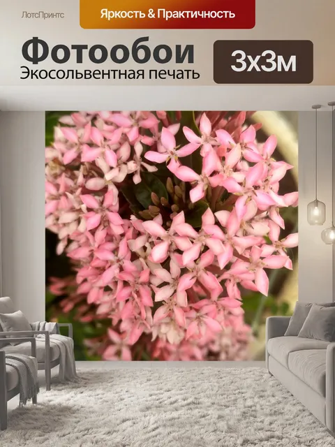 Фотообои Цветок