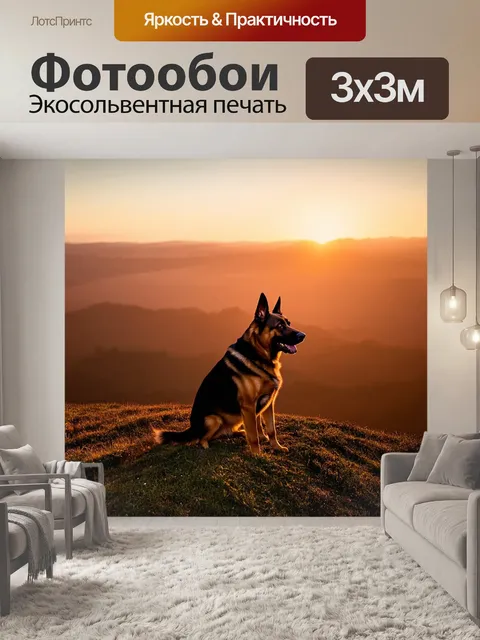 Фотообои спокойная сцена с немецкой овчаркой, наблюдающей за восходом солнца на вершине холма