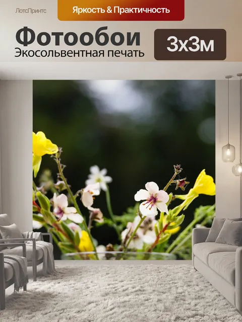 Фотообои Цветы