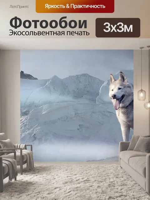 Фотообои Хаски