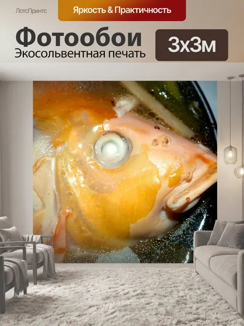 Фотообои Пресноводная рыба фото