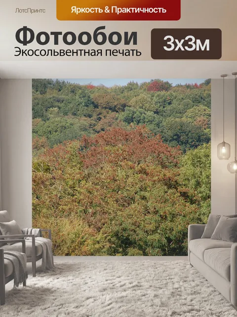 Фотообои Осень