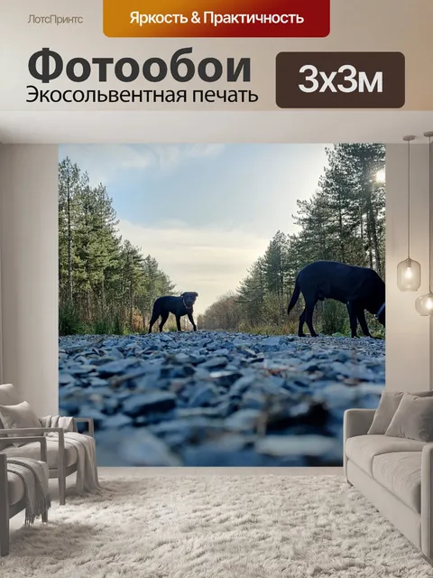 Фотообои Гравий
