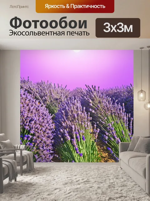 Фотообои градиент лавандового поля под ярким солнцем