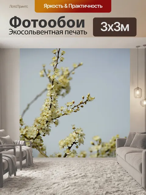 Фотообои Цветы