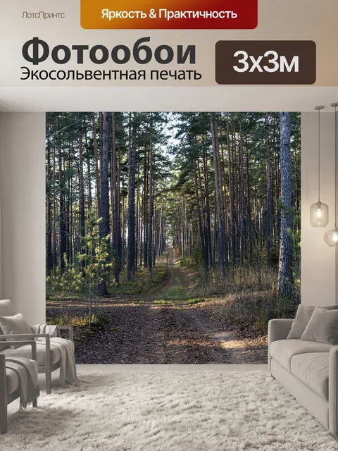 Фотообои Дорожка