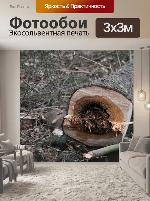 Фотообои Дерево