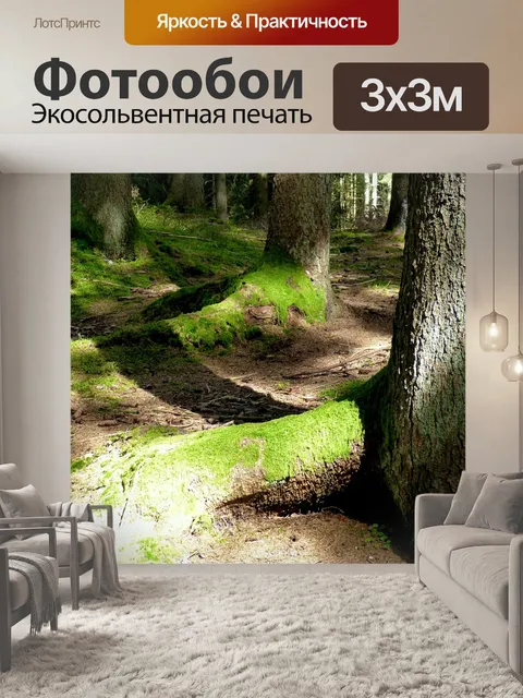 Фотообои Лес