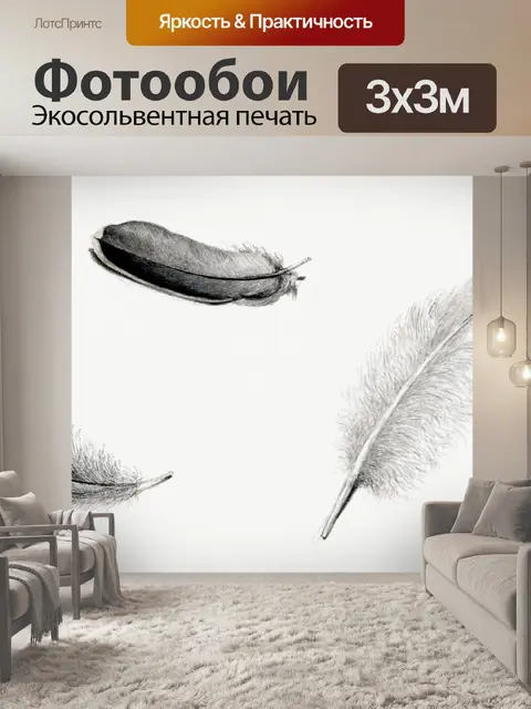 Фотообои Перья винтажные иллюстрации старые