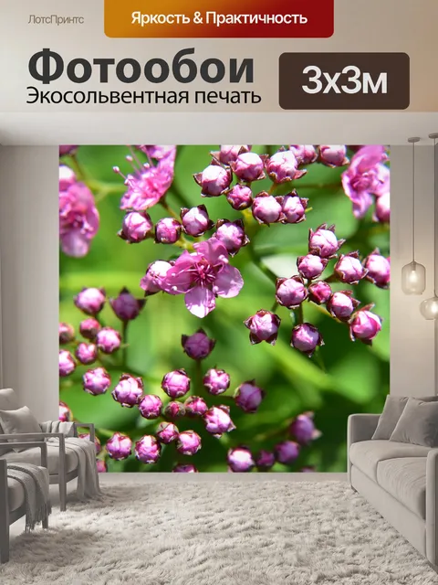 Фотообои Цветы