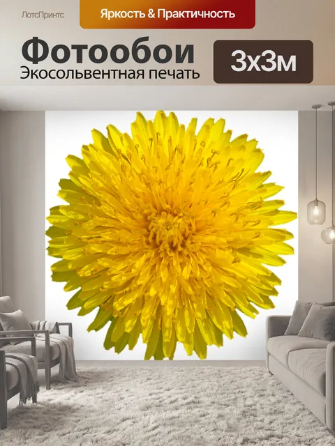 Фотообои Одуванчик
