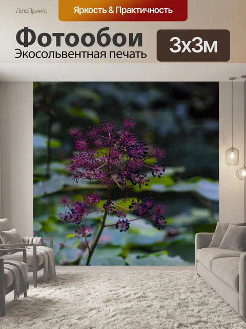 Фотообои Калифорнийский завод в пурпурном цвете