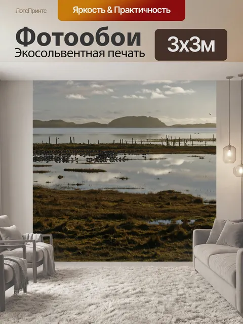 Фотообои Птицы На водно-болотных угодий