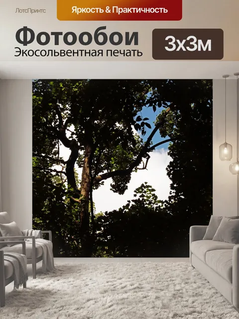 Фотообои проблеск неба и облаков