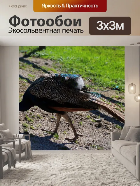 Фотообои Птица