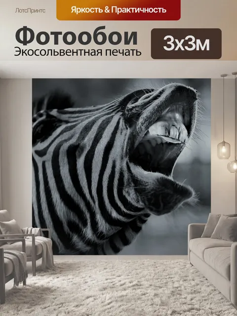 Фотообои Зебра