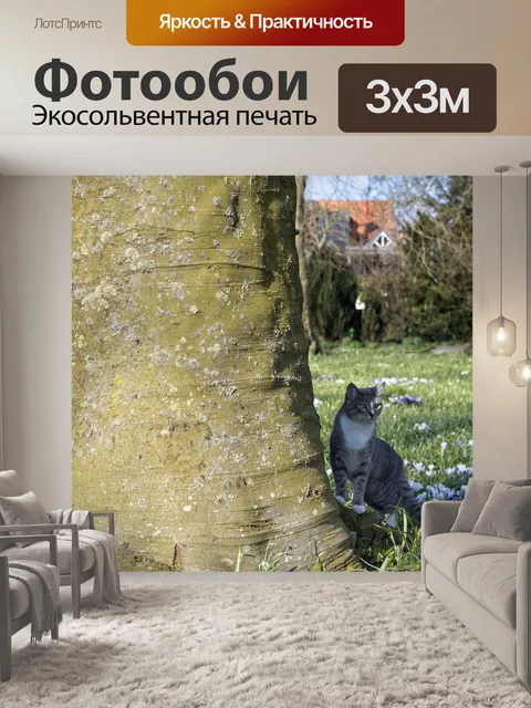 Фотообои Кошки