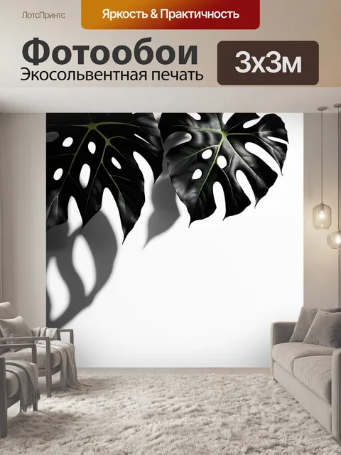 Фотообои монстера с изогнутыми листьями, создающими эффекты тени на земле