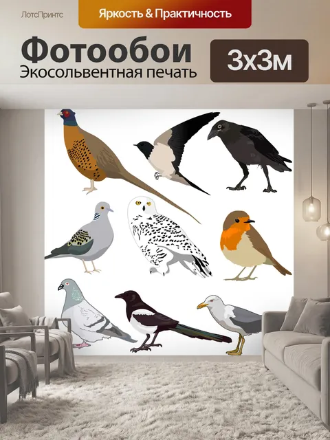 Фотообои Птица