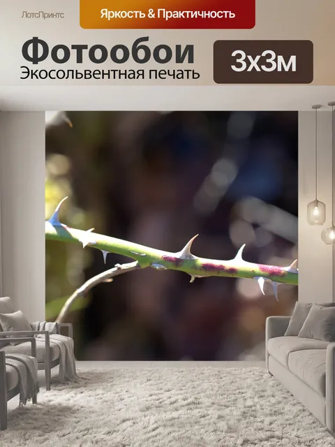 Фотообои Оправка