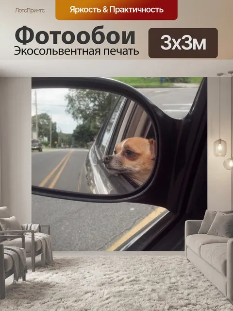 Фотообои Заинтригованный пассажира