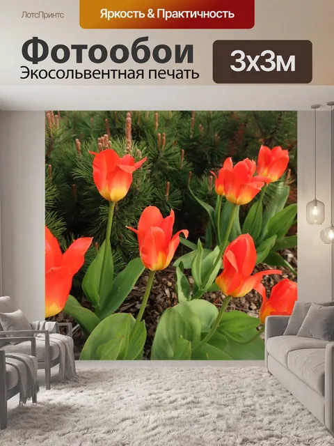 Фотообои Тюльпаны