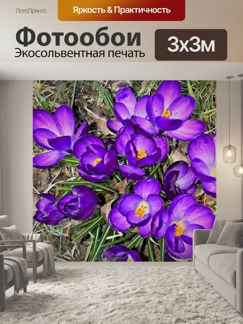 Фотообои Цветок