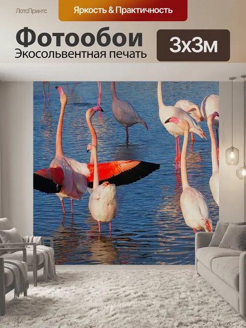 Фотообои Розовые фламинго