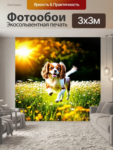 Фотообои веселая собака, кавалер кинг чарльз спаниель, прыгает по цветущему лугу, вокруг неё раскинулись яркие цветы…