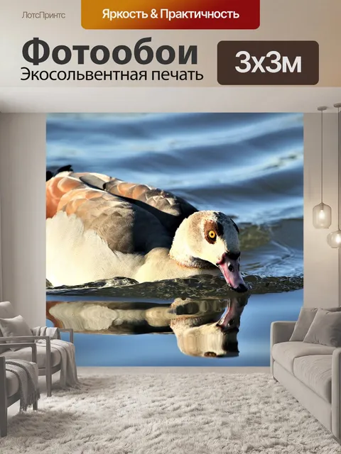 Фотообои Птица
