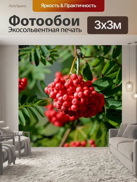 Фотообои Красные ягоды