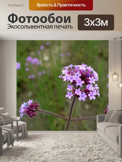 Фотообои Цветы