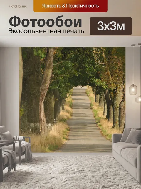 Фотообои Дорога