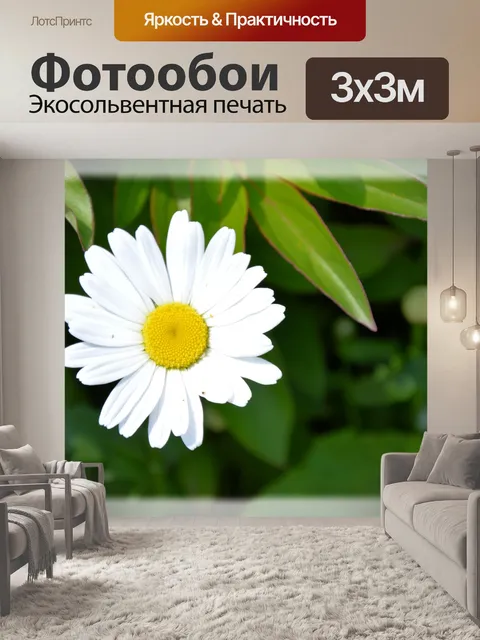 Фотообои Голландские цветы в саду