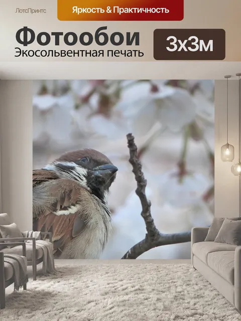 Фотообои Птица