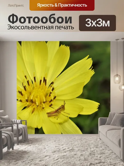 Фотообои Желтый полевой цветок и кузнечик 2