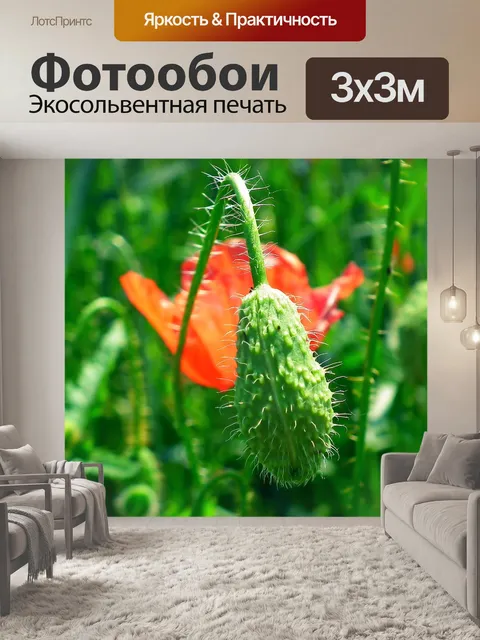 Фотообои Цветы