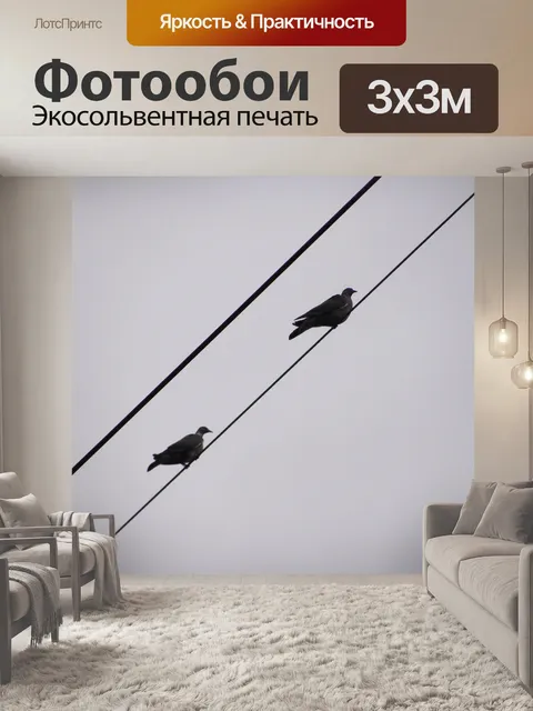 Фотообои Голуби