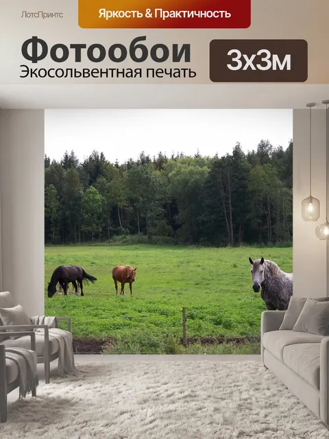 Фотообои Лошади