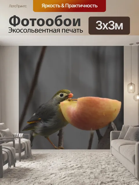 Фотообои Птицы