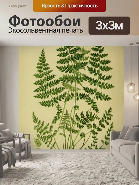 Фотообои Винтажное искусство с листьями папоротни