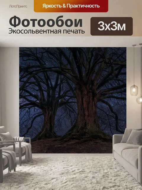 Фотообои Ночь