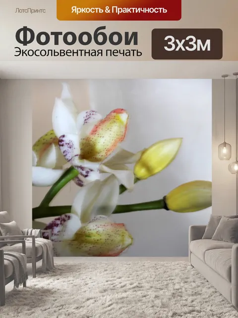 Фотообои Белая орхидея 4