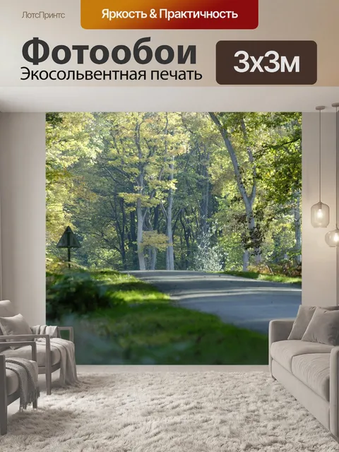 Фотообои Лес
