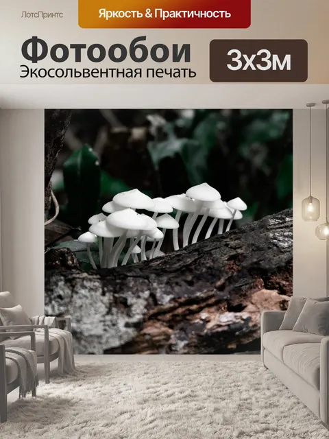 Фотообои Гриб