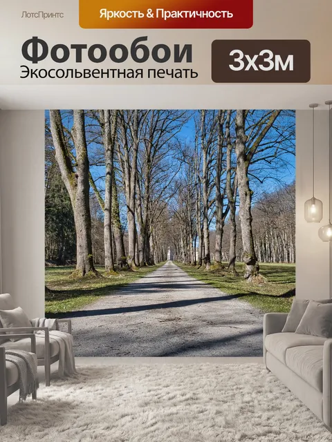 Фотообои Дорога