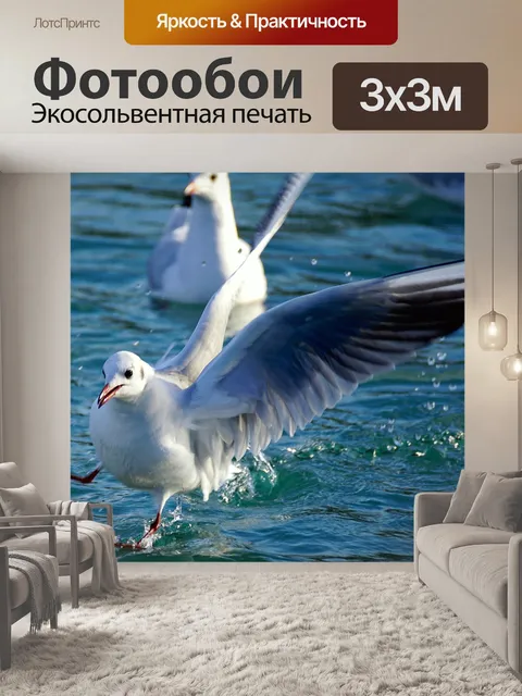 Фотообои Чайка