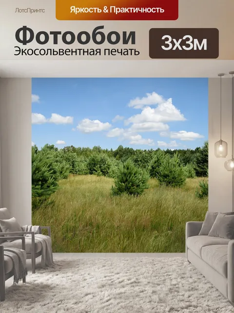 Фотообои Сосны