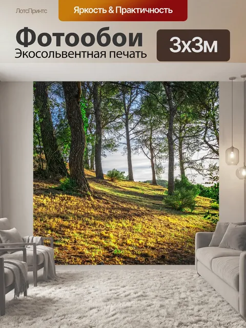 Фотообои Лес