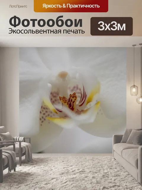 Фотообои Белый